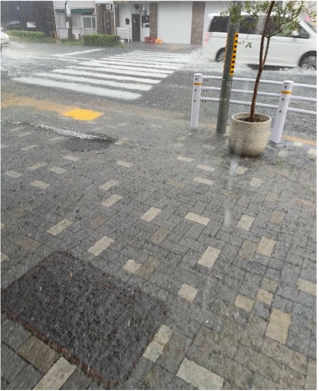 名古屋豪雨の写真